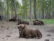 Magyarország Oka Reserve