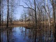 Magyarország Oka Reserve