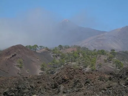 vacanță independentă în Tenerife, în revizuirea