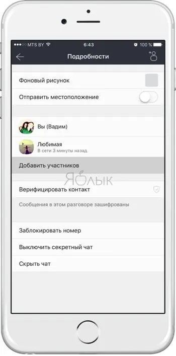 Тайната чат (съобщение) в Viber за iphone как да активирате, изберете, и да се скрият, една ябълка новини