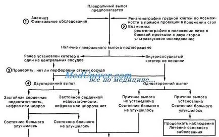 Simptomele de lichid în cavitatea pleurală și diagnosticarea