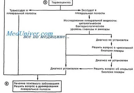 Симптомите на течност в плевралната кухина и диагностика