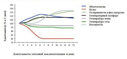 Колко време е необходимо, за да свикне с жегата