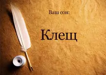 Тълкуване на сънища кърлеж се загледа в кучето в съня си, за да видите какво се превръщат мечтите