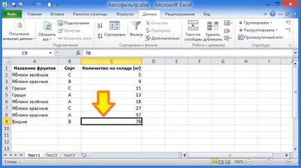 Sortarea și filtrarea datelor în culoare în Excel 2010