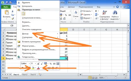 Sortarea și filtrarea datelor în culoare în Excel 2010