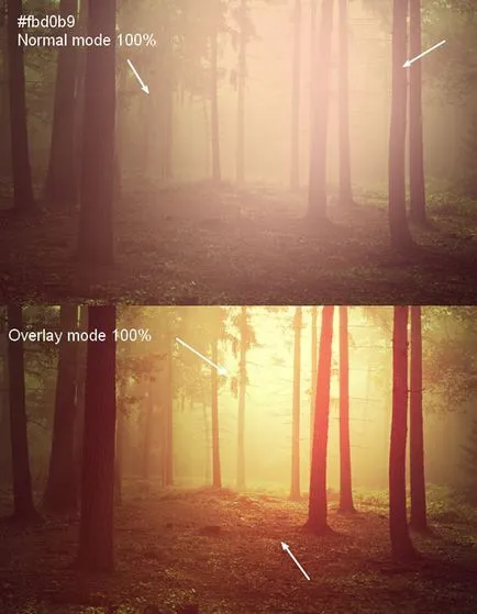Sunny zi și noapte cețoasă în Adobe Photoshop
