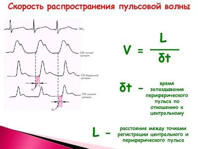 Актуални препоръки за диагностика и лечение на хипертония, chitamed - Медицински