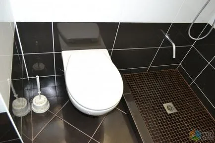 WC - repara propriile lor mâini, repara ideile