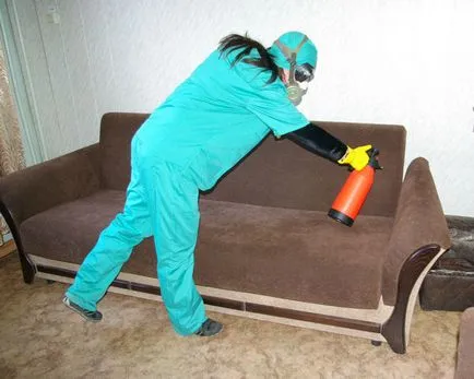 Az orvosság bolhák a lakásban és a ház elleni hatékony küzdelem paraziták