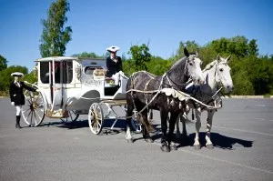 Esküvői és a lovak, lovas turisztikai klub