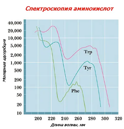 свойства на аминокиселини