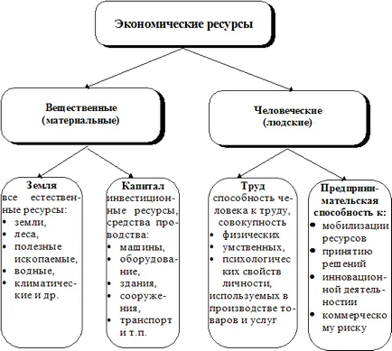 Az elmélet a neoliberalizmus - a gazdaság