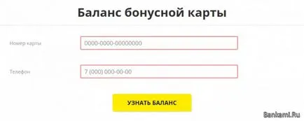 Technosila Bonus Card pentru a verifica soldul