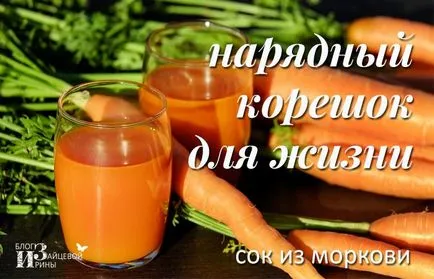 Тиквеният сок, блог Iriny Zaytsevoy