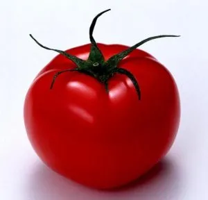 Домат - председател описание 2 f1 и характеристики на сортове, съвети за отглеждането на домати