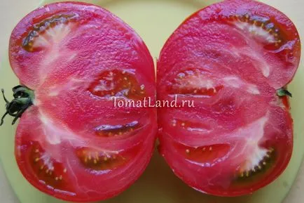 Descriere tomate mândria Siberia a soiului, recenzii, fotografii, descrierea