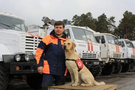 A kemény munka a kutyák - mentési