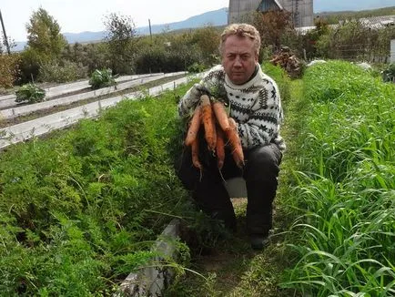 Невероятни реколтата легла Igorya Дядова - просперитет Летописи