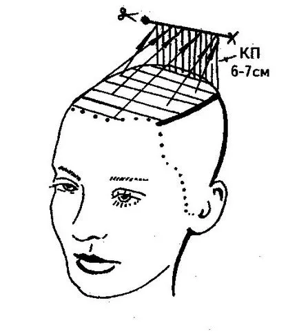 A învăța să execute atunci când modelul de coafura parietal - Metode de forfecare - forfecare -