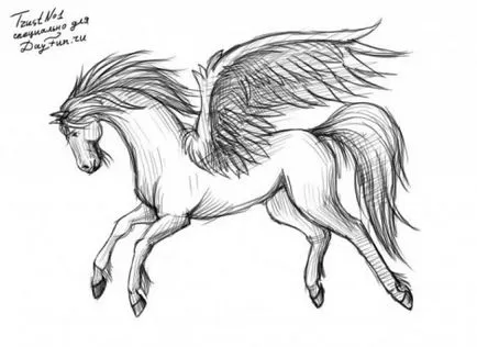уроци по живопис - как да се направи Pegasus етапи молив
