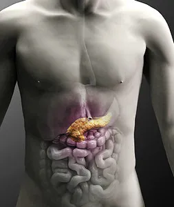 Uzi pancreas pancreatită relevanță pentru cercetare