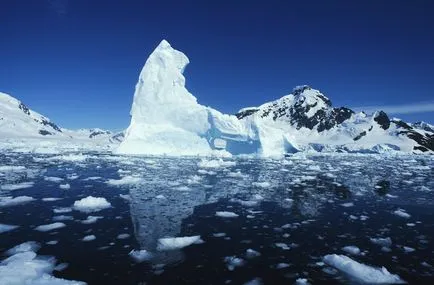 Научете всичко за пътуването до Северния полюс