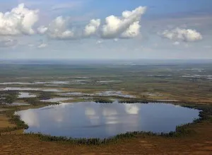 Vasyuganskoye снимка блата, карта, интересни факти