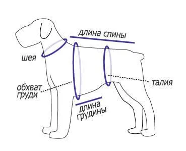 Minták a Yorkshire terrier kutya saját kezűleg