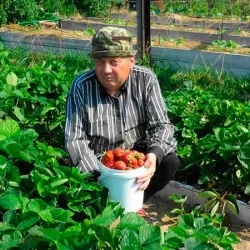 Високите легла Igorya Дядова как да се направи умен градина със собствените си ръце (плюсовете и минусите, дизайн легла,