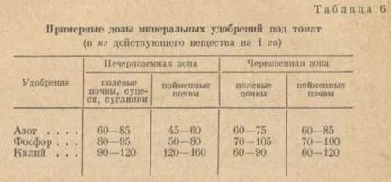 Отглеждане на домати в открито поле