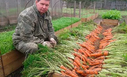 Високите легла Igorya Дядова как да се направи умен градина със собствените си ръце (плюсовете и минусите, дизайн легла,