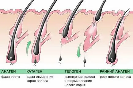 Витамини за коса Revalid коментари, прилагането