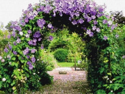 Cultivarea Clematis Siberian specii, de plantare și îngrijire, fotografie