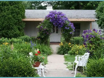 Cultivarea Clematis Siberian specii, de plantare și îngrijire, fotografie