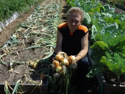 Високите легла Igorya Дядова как да се направи умен градина със собствените си ръце (плюсовете и минусите, дизайн легла,