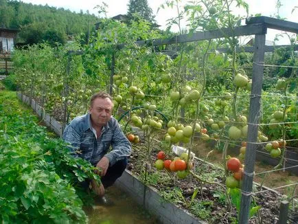 Високите легла Igorya Дядова как да се направи умен градина със собствените си ръце (плюсовете и минусите, дизайн легла,