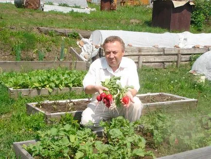 Високите легла Igorya Дядова как да се направи умен градина със собствените си ръце (плюсовете и минусите, дизайн легла,