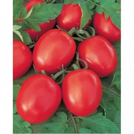 soiuri Tall de tomate pentru sere descriere, fotografii, comentarii