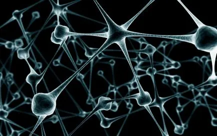 Recovery agyi neuronok - több elmélet, modern klinikán kezelés
