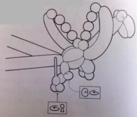 Air kreatív - sárkány - Balloons shdm -Egyedi kezek