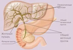 Tipuri de colangiocarcinom ficat, cauze si simptome, diagnostic, tratament, prognostic