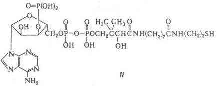 Catalog de Chimie kofermenty