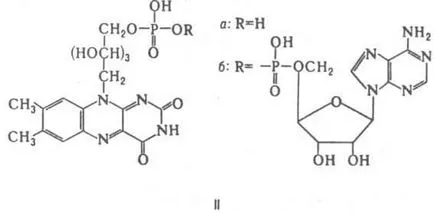 Catalog de Chimie kofermenty