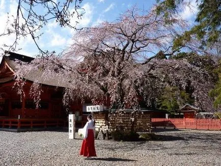 Templomok Japánban