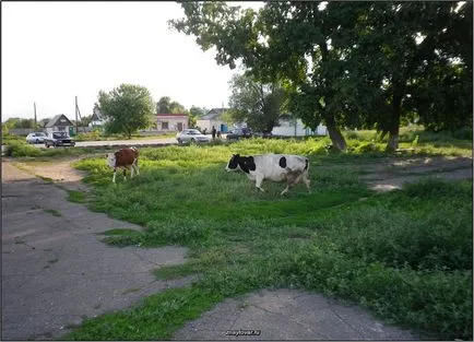 Miért az emberek mozognak a város, hogy a vidék