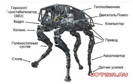 Meet - nagy kutya! Az új robot az áru-