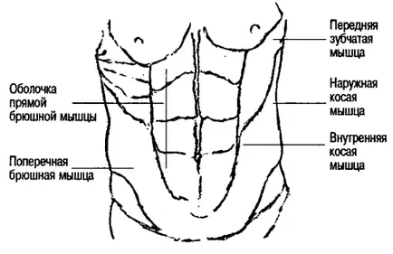Коремът не съжалявате как да се изгради по-ниски корема