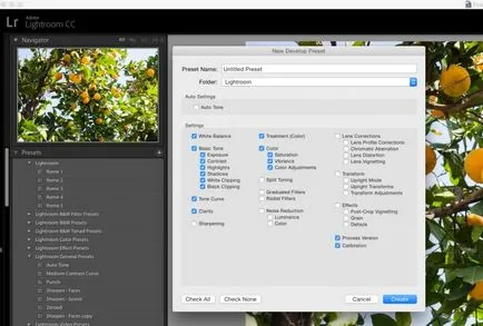 10 placi lot de prelucrare în Lightroom