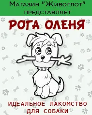 Minden kutya - Száraz eledel kutyáknak - vesz Moszkvában
